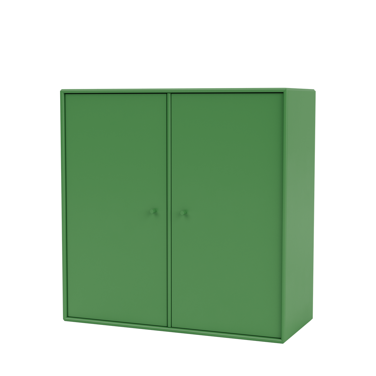 Meuble de rangement Cover Montana, laque 152 Parsley, suspendu au rail mural, vue de trois quarts sur fond blanc