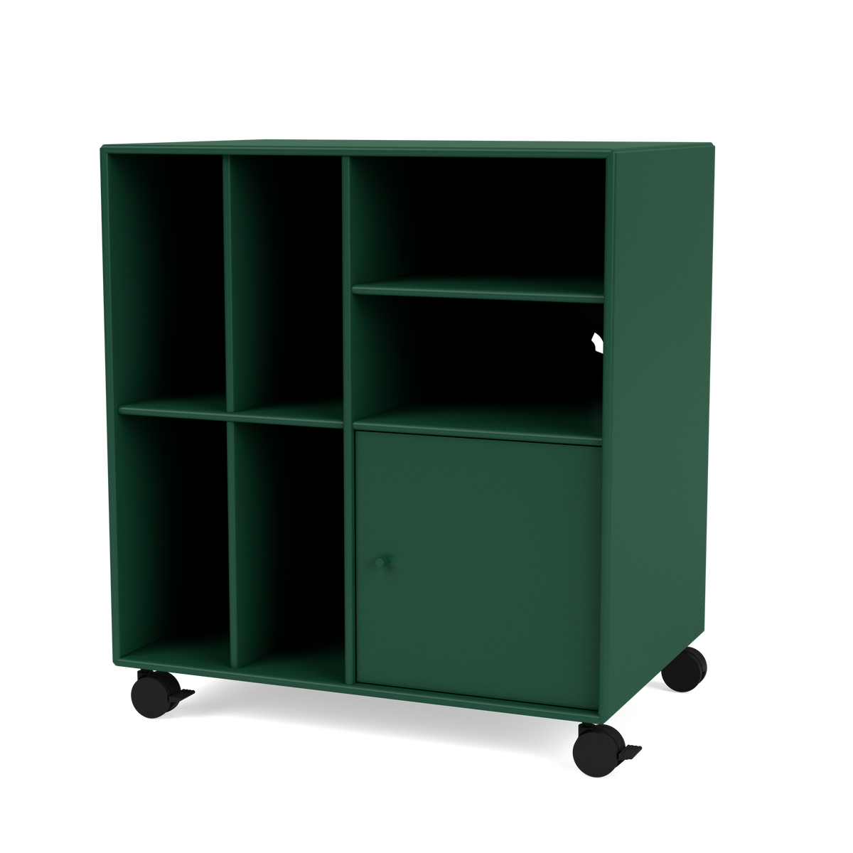 Rangement à vinyles Spin II Quick Ship, laque 136 Pine, sur roulettes, packshot Montana