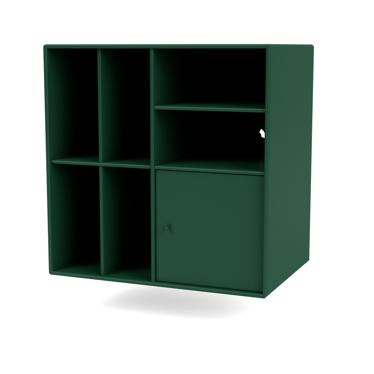 Rangement à vinyles Spin II Quick Ship, laque 136 Pine, suspendu au mur, packshot Montana