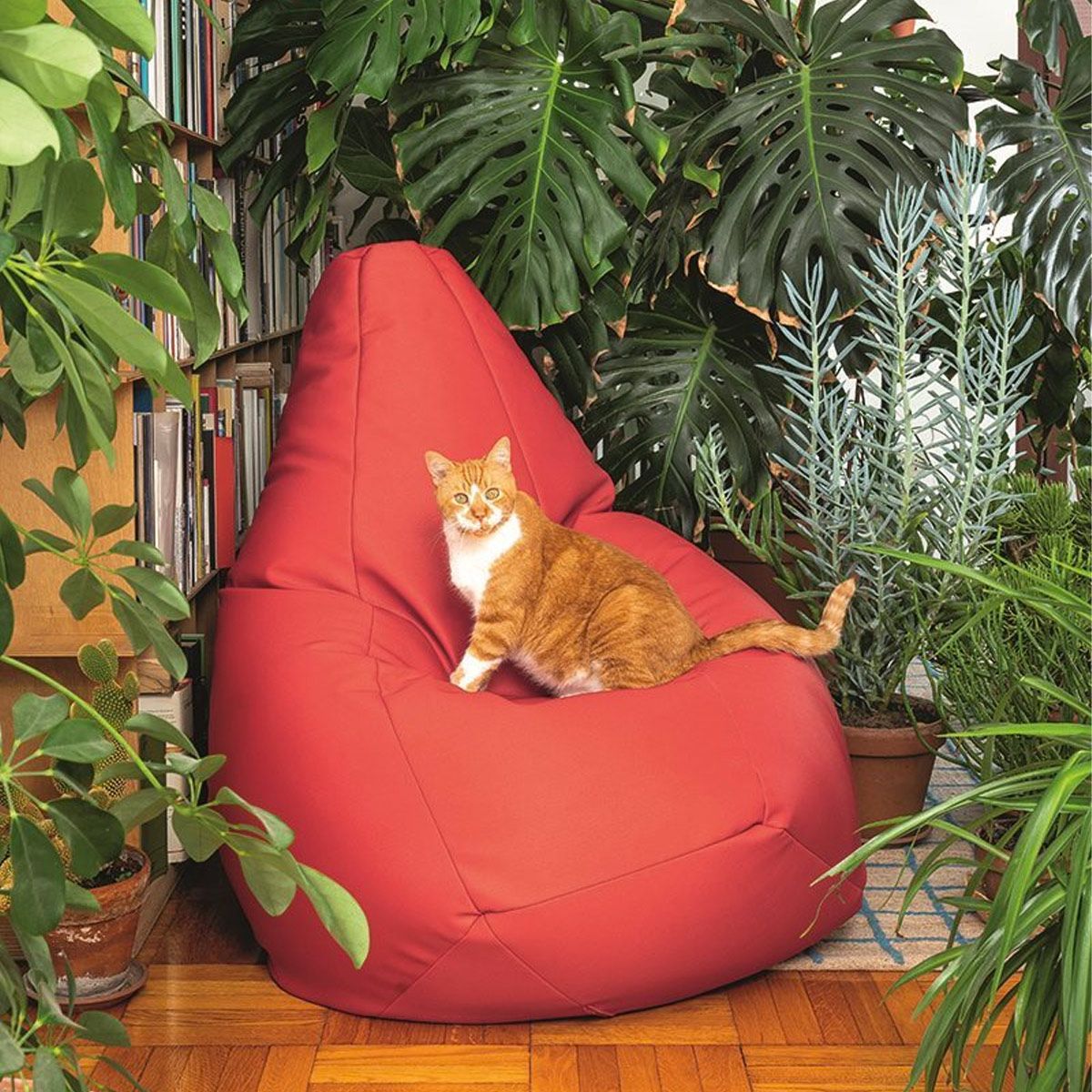 Pouf Sacco Cuir de Piero Gatti, Cesare Paolini et Franco Teodoro - Zanotta-en situation dans une véranda, un chat dessus-The Woods Gallery