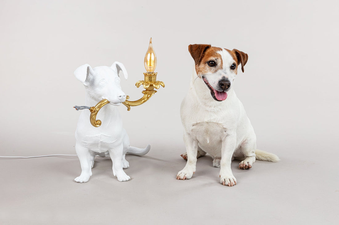 Lampe chien Rio de Marcantonio - Seletti-vue 2-The Woods Gallery