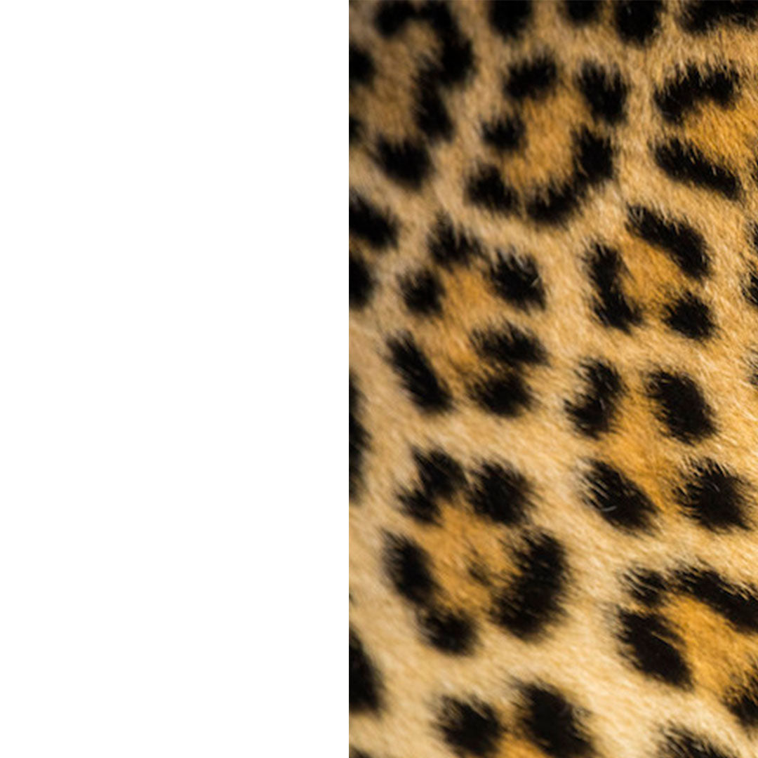 Safari Sofa de Archizoom - Poltronova-Blanc-Léopard Jaune-The Woods Gallery