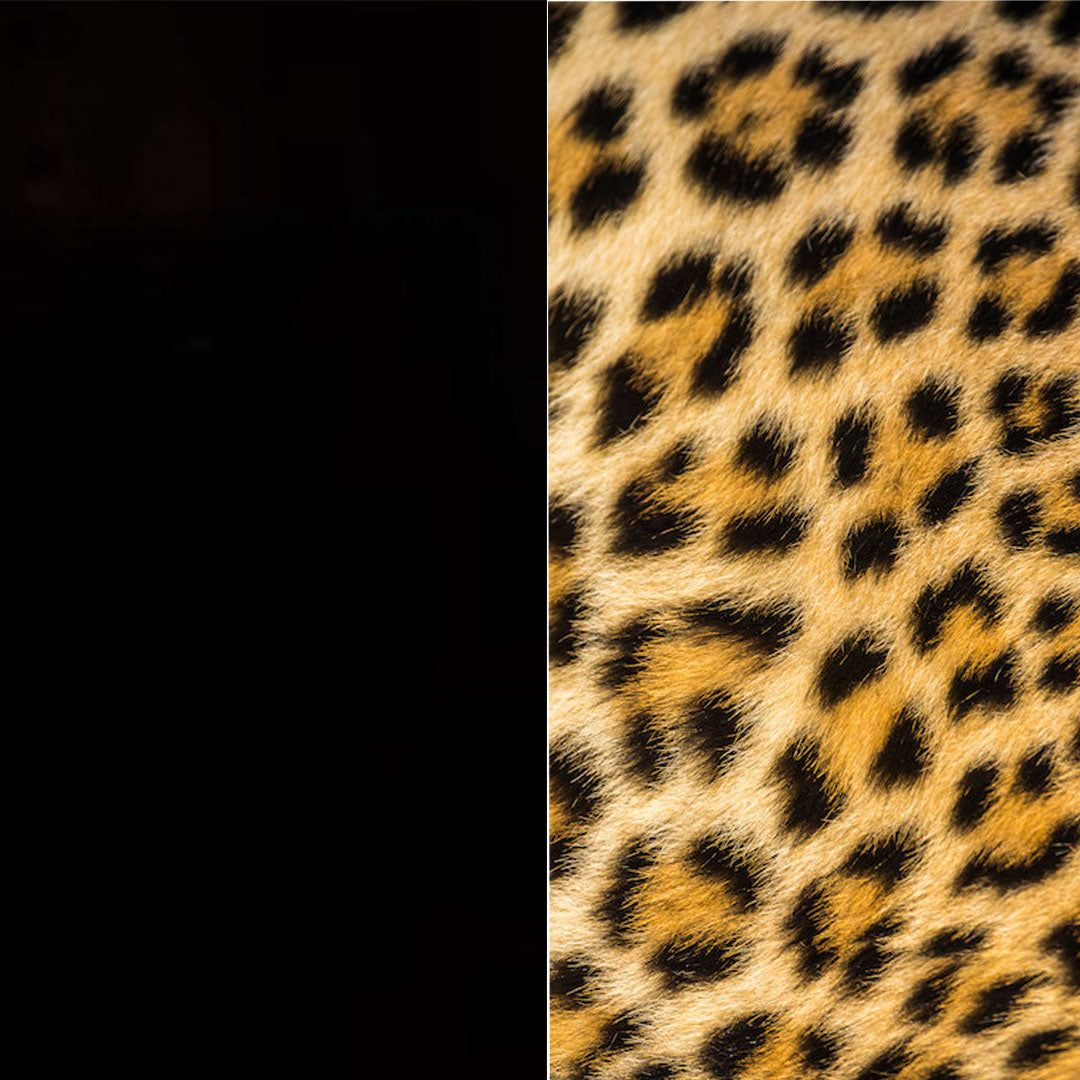 Safari Sofa de Archizoom - Poltronova-Noir-Léopard Jaune-The Woods Gallery
