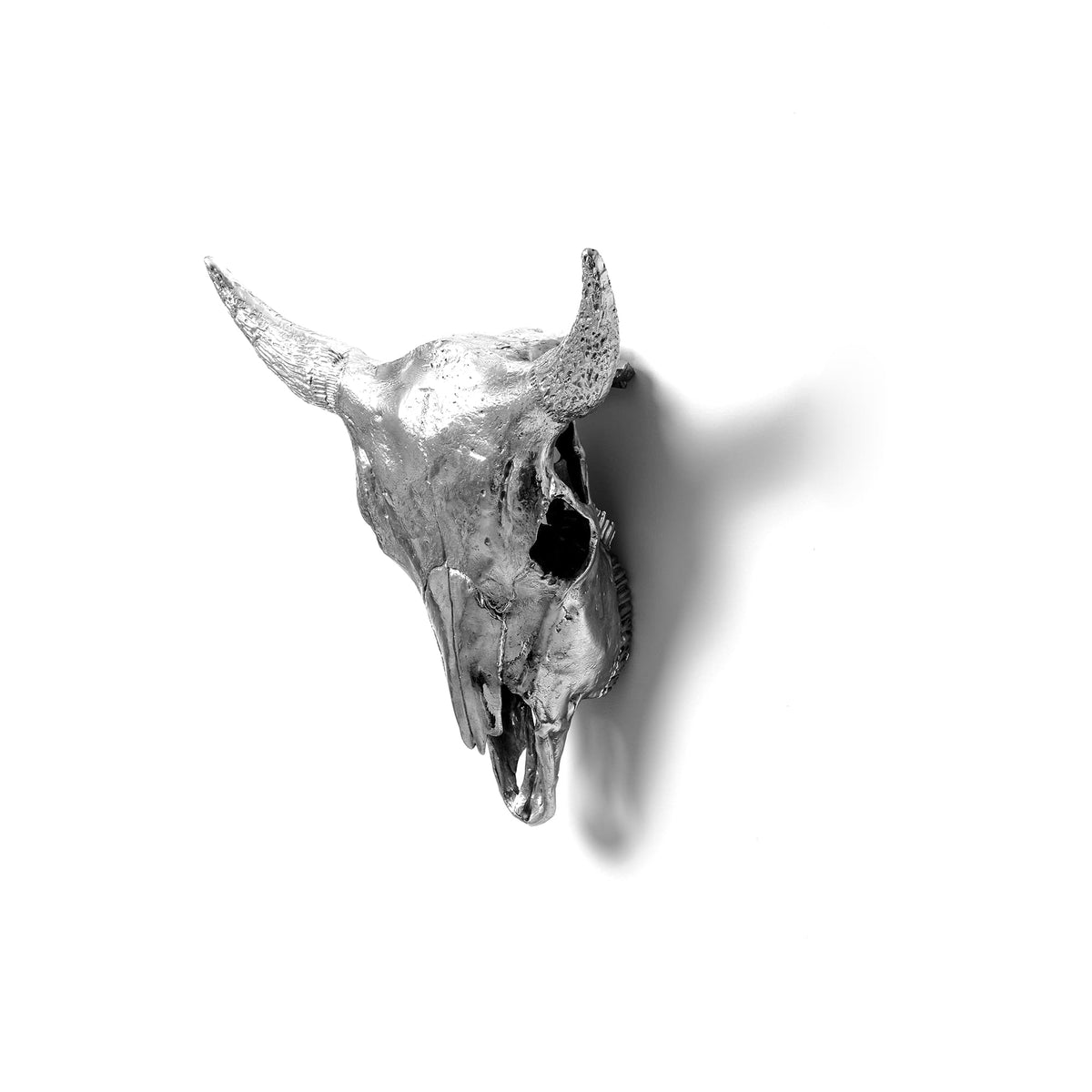 Sculpture Wunderkammer I&