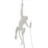 Suspension Monkey Lamp With Rope intérieur de Marcantonio - Seletti-vue 1-The Woods Gallery
