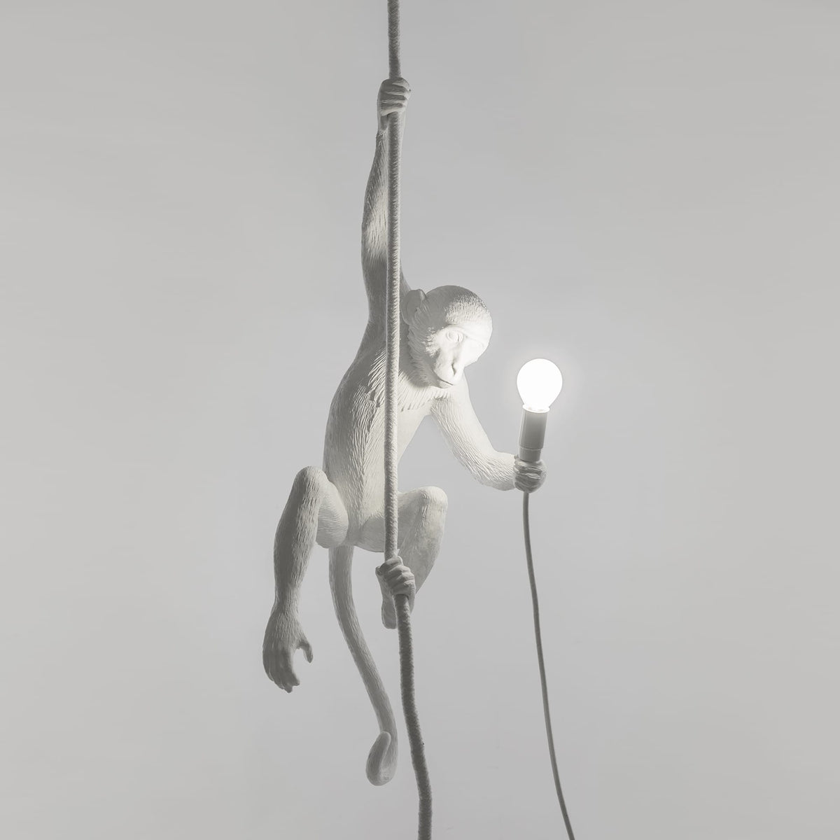 Suspension Monkey Lamp With Rope intérieur de Marcantonio - Seletti-vue 4-The Woods Gallery