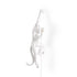 Applique Monkey Lamp Hanging Left intérieur de Marcantonio - Seletti-vue 1-The Woods Gallery