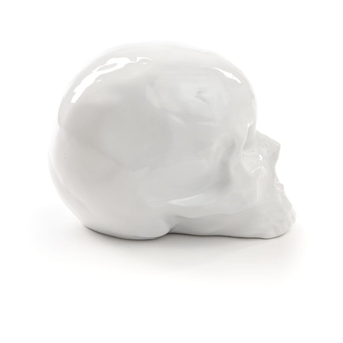 Crâne Memorabilia My Skull de Selab + Alessandro Zambelli - Seletti-vue 8-The Woods Gallery