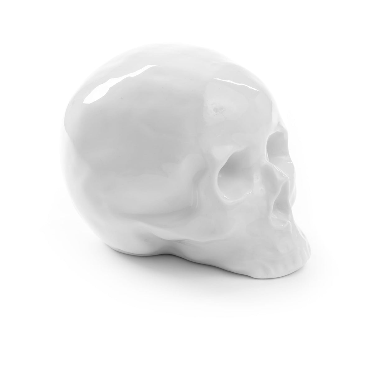 Crâne Memorabilia My Skull de Selab + Alessandro Zambelli - Seletti-vue 7-The Woods Gallery