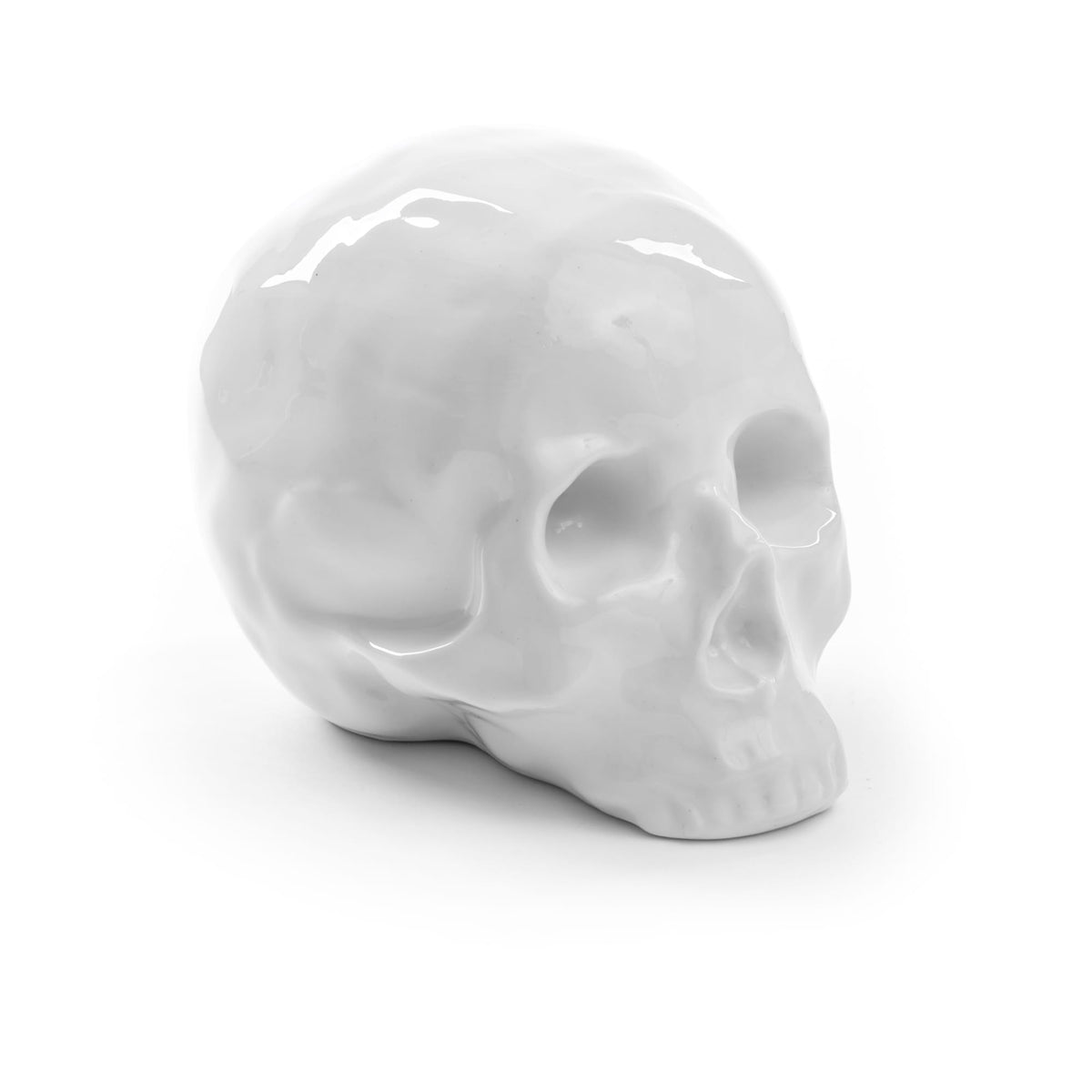 Crâne Memorabilia My Skull de Selab + Alessandro Zambelli - Seletti-vue 6-The Woods Gallery