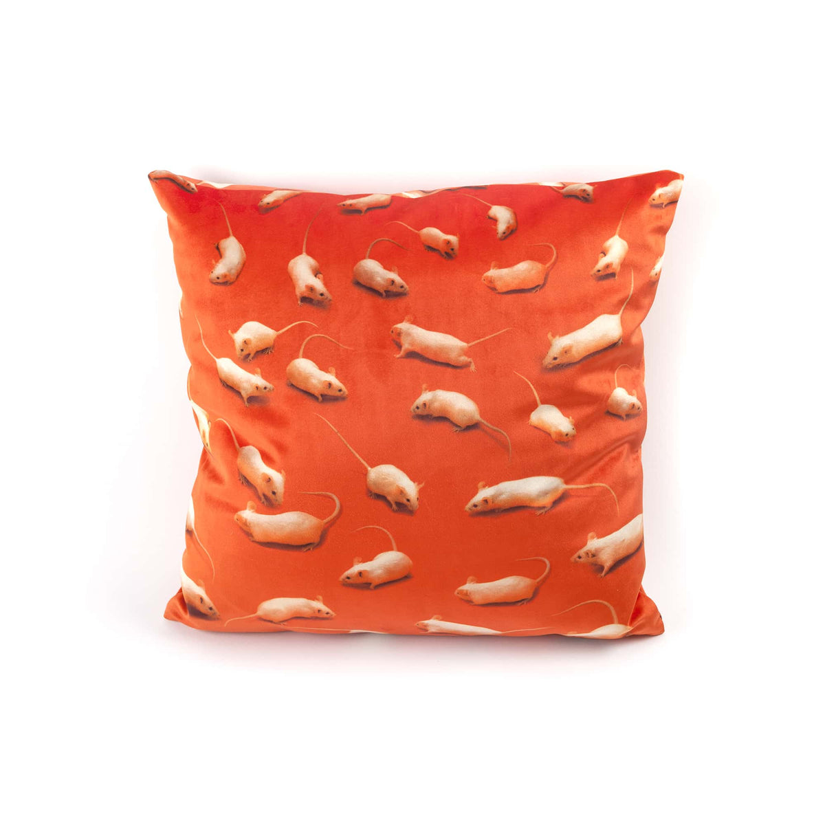 Coussin Kitten de ToiletPaper - Seletti-vue 5-The Woods Gallery