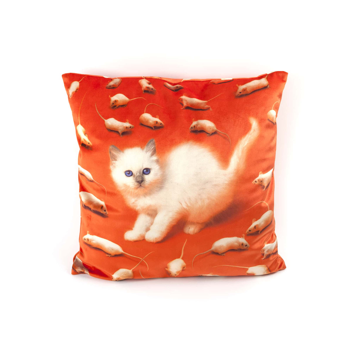 Coussin Kitten de ToiletPaper - Seletti-vue 4-The Woods Gallery