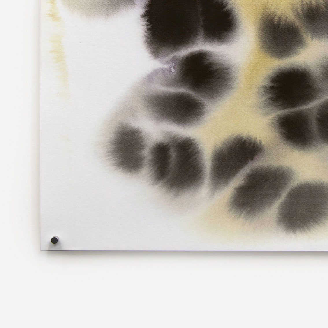 Snow Leopard de Rop van Mierlo - The Wrong Shop-Sans encadrement-The Woods Gallery