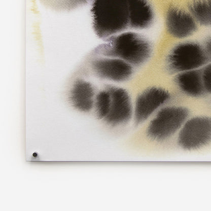 Snow Leopard de Rop van Mierlo - The Wrong Shop-Sans encadrement-The Woods Gallery