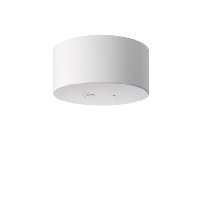 Suspension My Lines de Michael Anastassiades - Flos-Rosace seule-The Woods Gallery