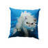 Coussin Angry Cat de ToiletPaper - Seletti-vue 1-The Woods Gallery