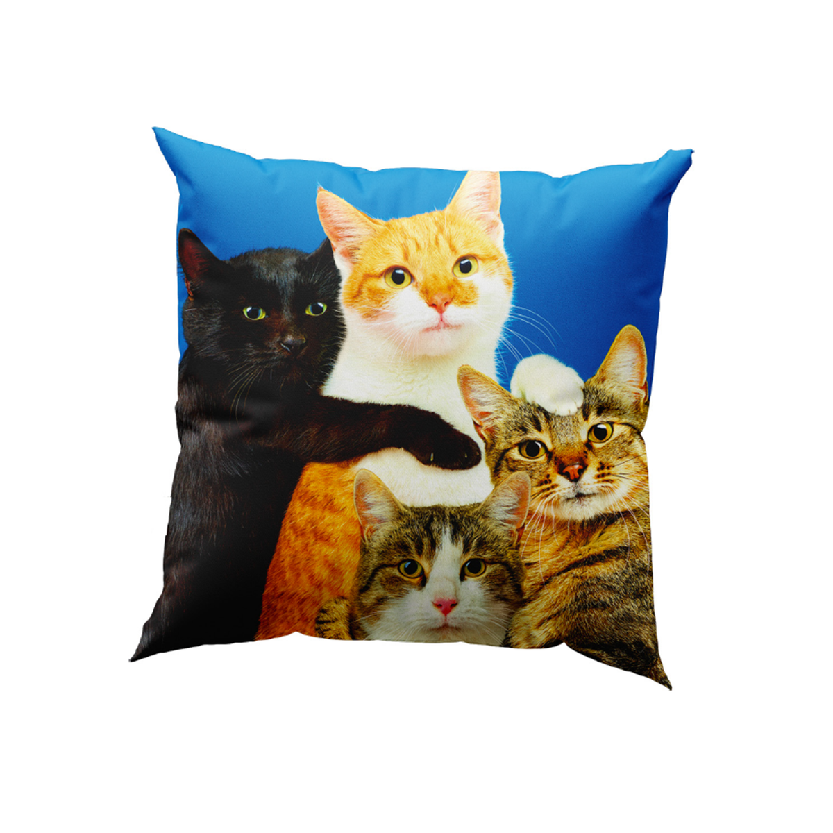 Coussin Polycats de ToiletPaper - Seletti-vue 1-The Woods Gallery