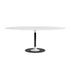 Table Thierry XXL Oval de Piero Lissoni XXL - Kartell-Blanc-The Woods Gallery