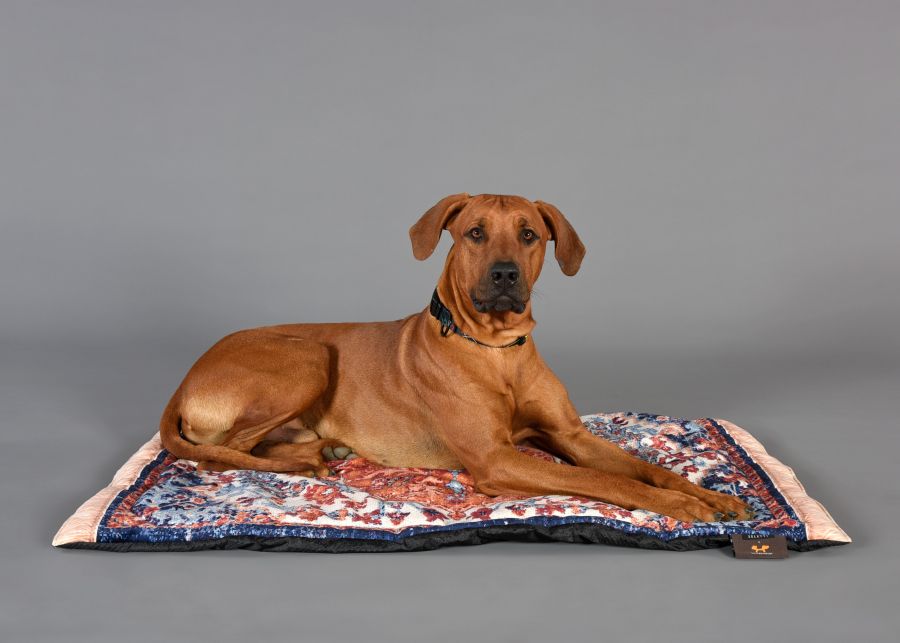 Tapis Kennel Pets (R)Evolution - Seletti x United Pets-Grand Rouge-The Woods Gallery