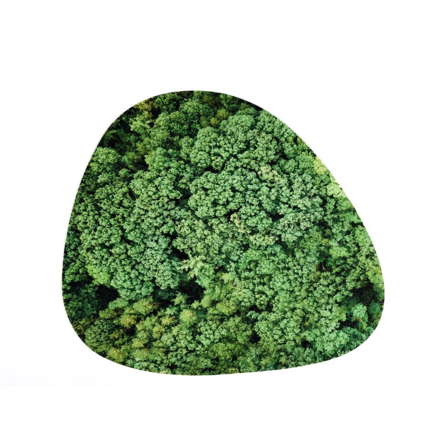 Tapis de cuisine "Les Alpes" Pets (R) Evolution - Seletti x United Pets-The Woods Gallery