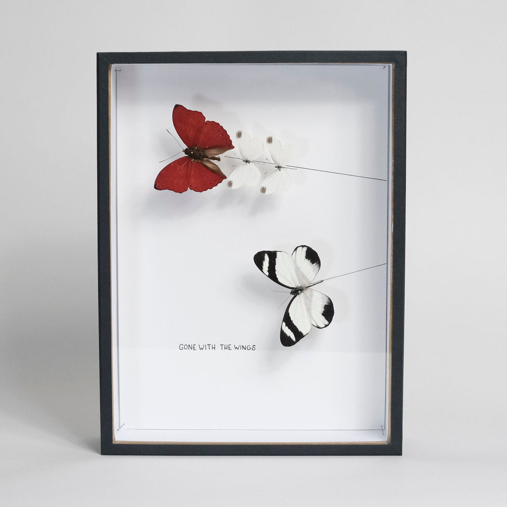 Triptique "Gone With The Wings" - Petites Luxures x Pocket Factory-Edition originale-The Woods Gallery