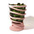 Vase Pompitu bouteille verte - saumon de Gaetano Pesce - Fish Design-S-The Woods Gallery
