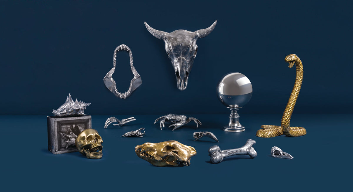 Sculpture Wunderkammer I&