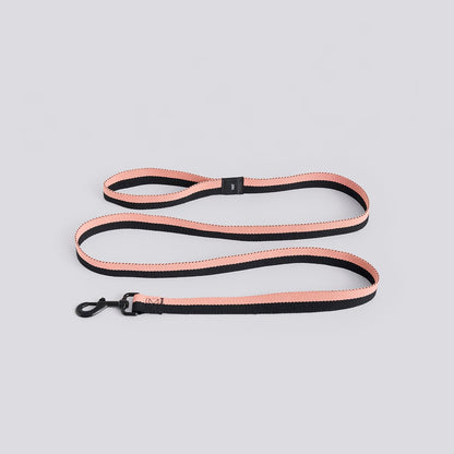 Laisse HAY Dogs de Barbara Maj Husted Werner - Hay