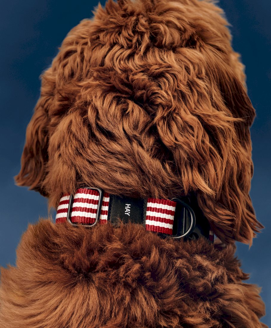 Collier plat HAY Dogs de Barbara Maj Husted Werner - Hay