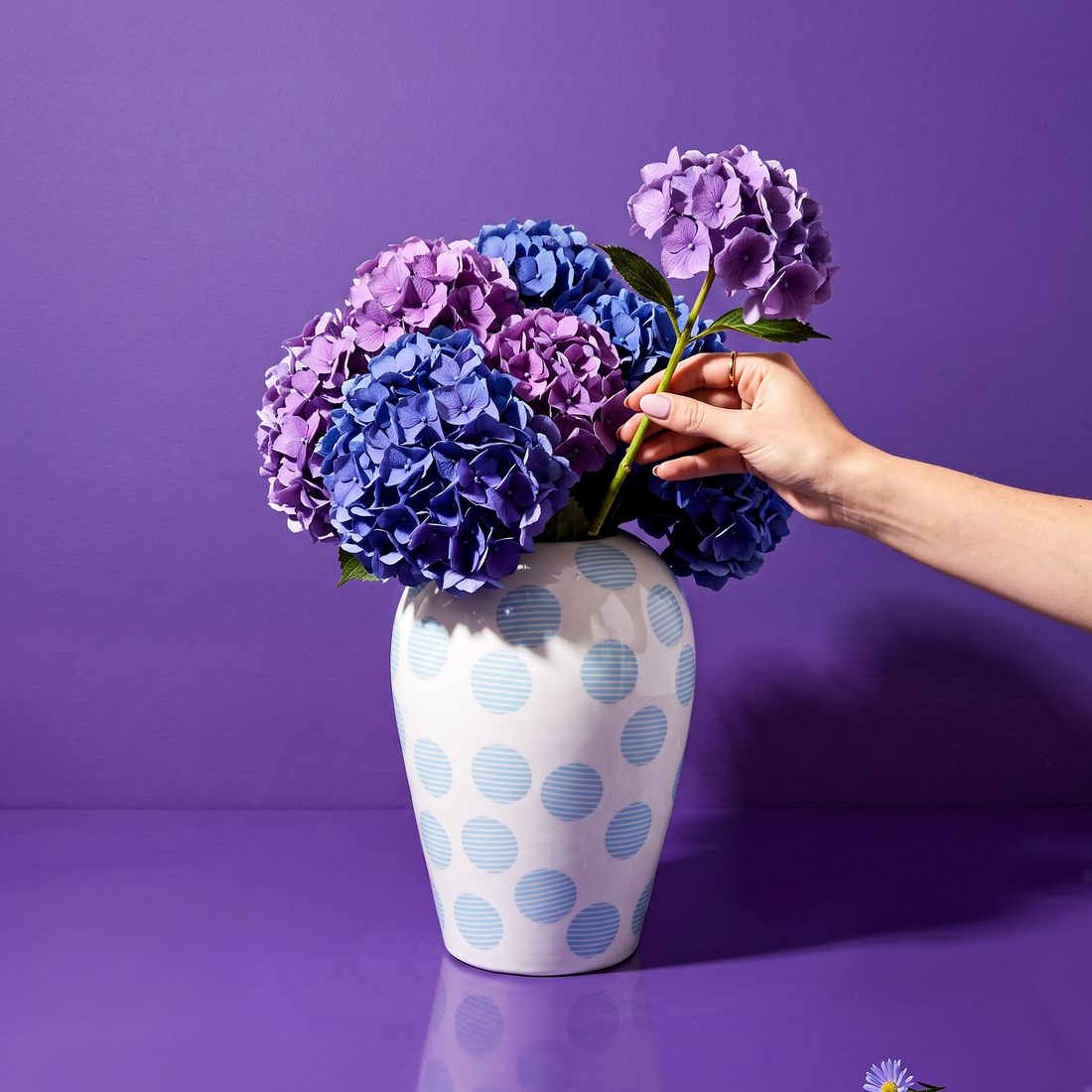Vase New Canopie Kiki de Elena Cutolo - Seletti-vue 2-The Woods Gallery