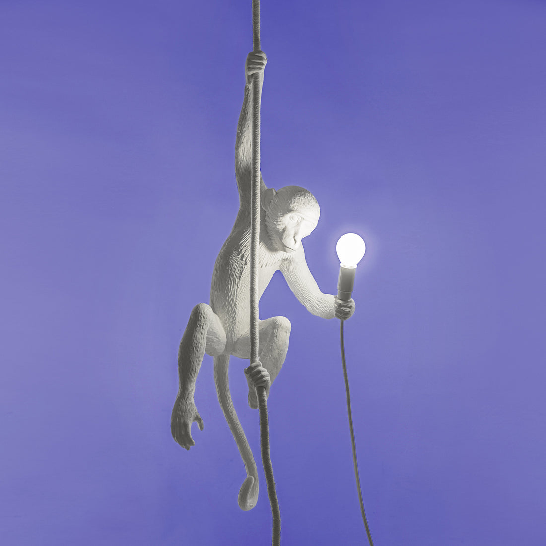 Suspension Monkey Lamp With Rope intérieur de Marcantonio - Seletti-vue 2-The Woods Gallery