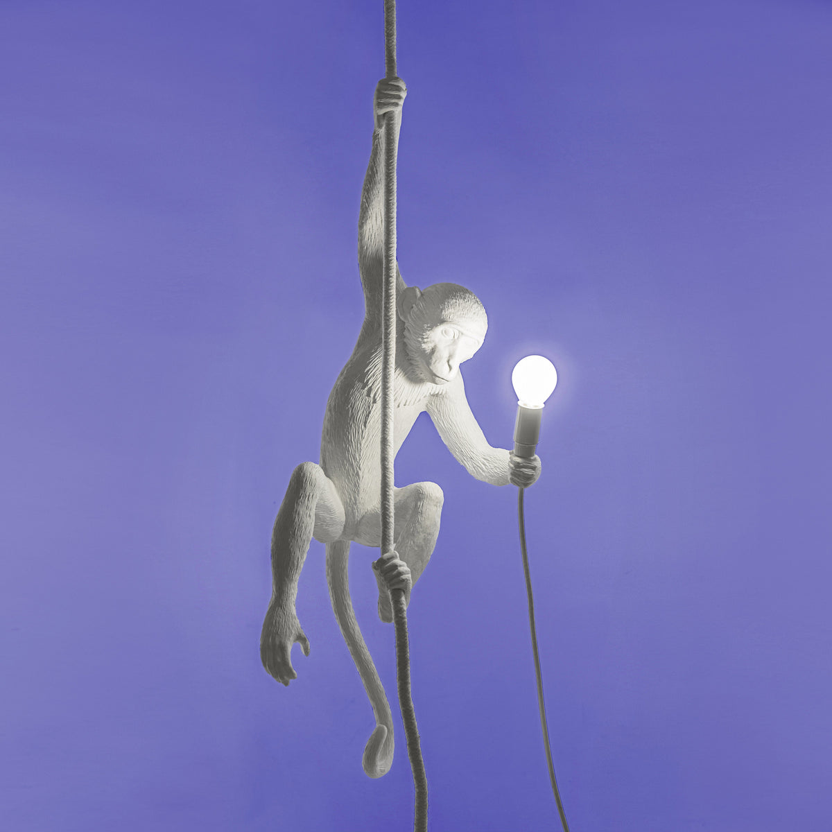 Suspension Monkey Lamp With Rope intérieur de Marcantonio - Seletti-vue 2-The Woods Gallery
