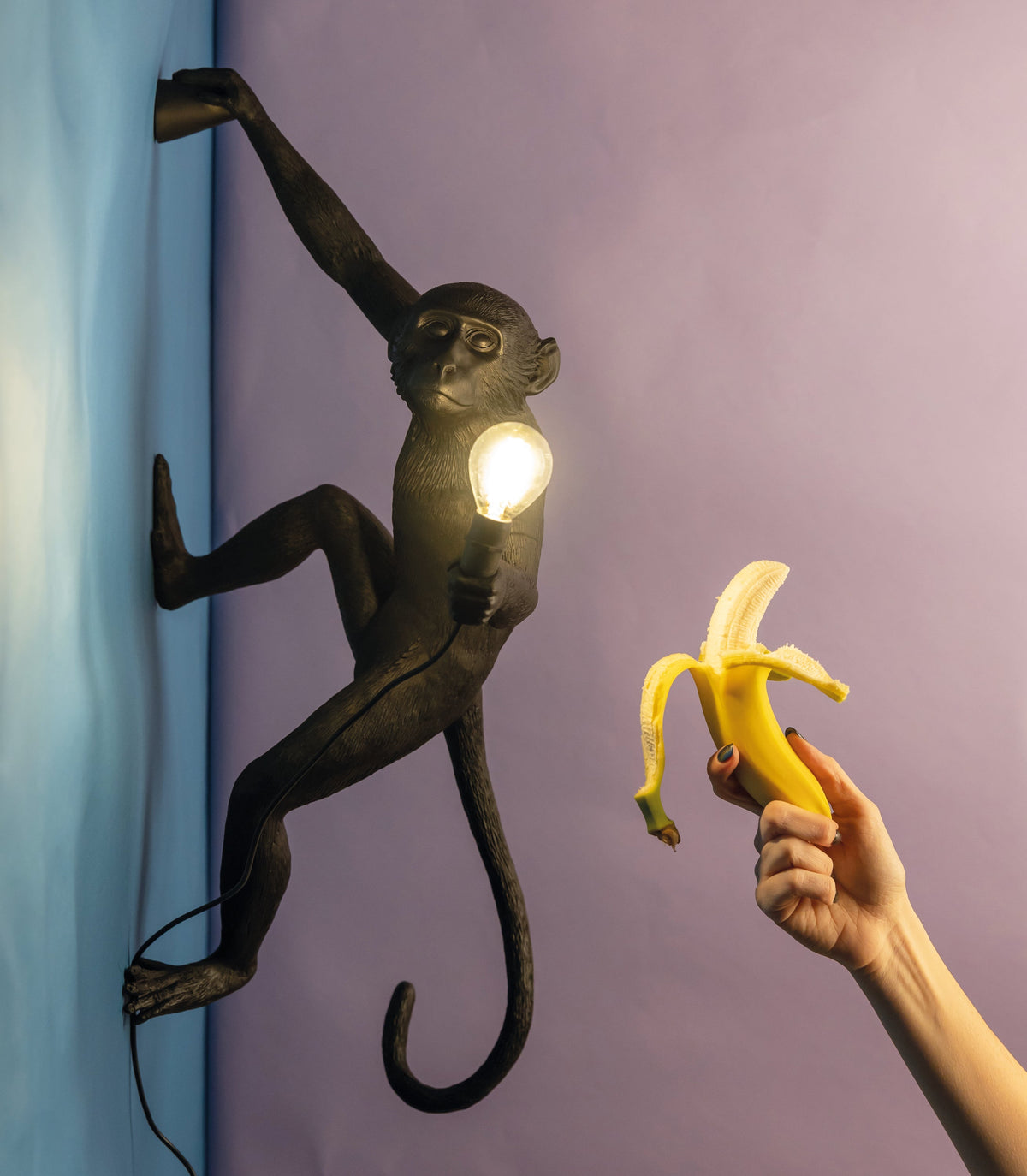 Applique Monkey Lamp Hanging Right de Marcantonio - Seletti-Noir-The Woods Gallery