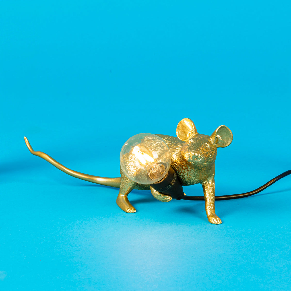Lampe Mouse Lamp Lop dorée de Marcantonio - Seletti-vue 5-The Woods Gallery