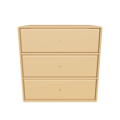 Module Mini 1007 en 3D - Amber - Montana