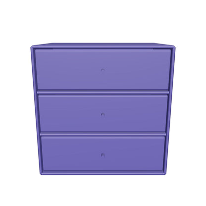 Module Mini 1007 en 3D - Monarch - Montana