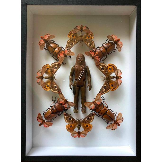 Coffret Chewbacca "Kaléidoscope" de Pocket Factory-The Woods Gallery