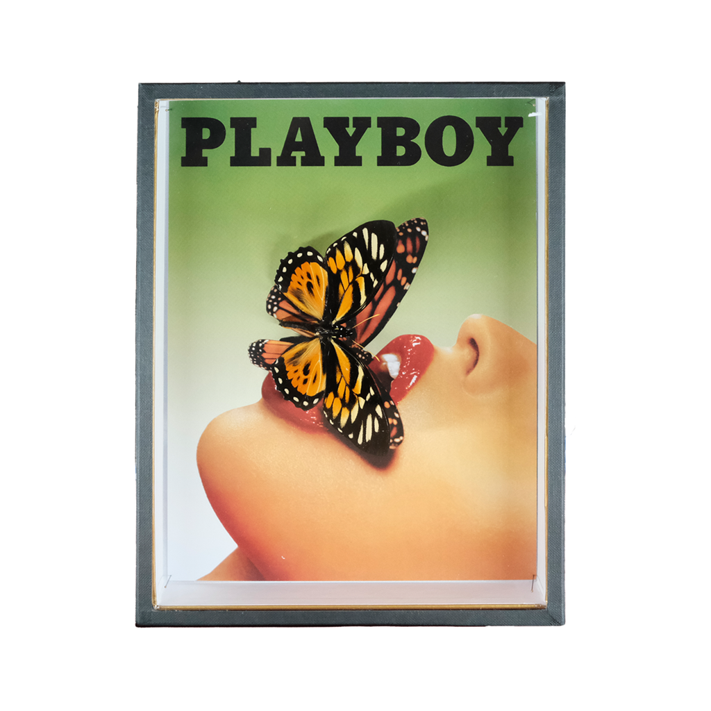 Coffret Playboy Papillon - Pocket Factory-The Woods Gallery