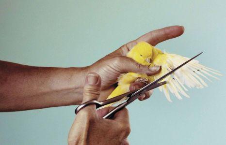 ToiletMartin PaperParr Book - Toilet Paper Default Title | au meill